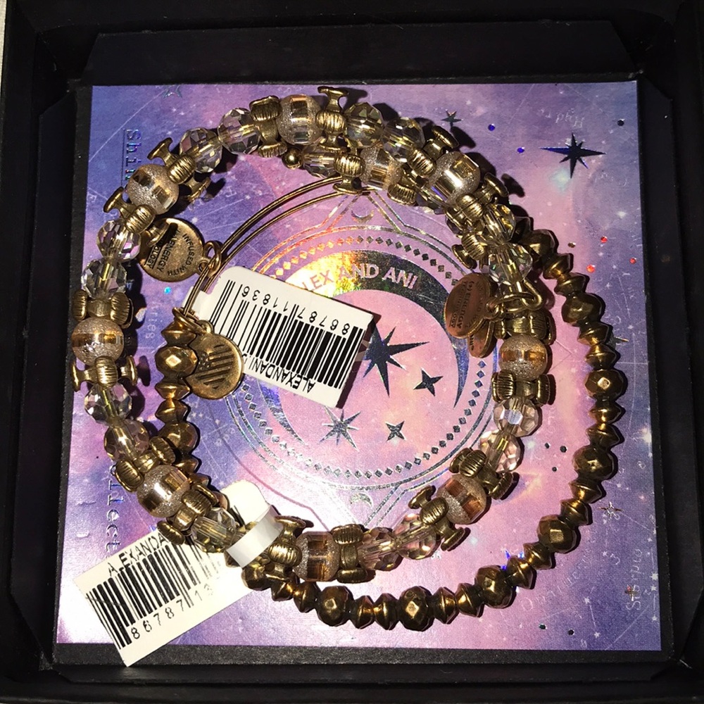 ALEX AND ANI ROSE GOLD BRACELET SET